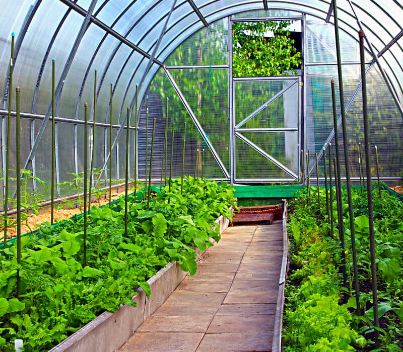 Venta de complementos de jardín