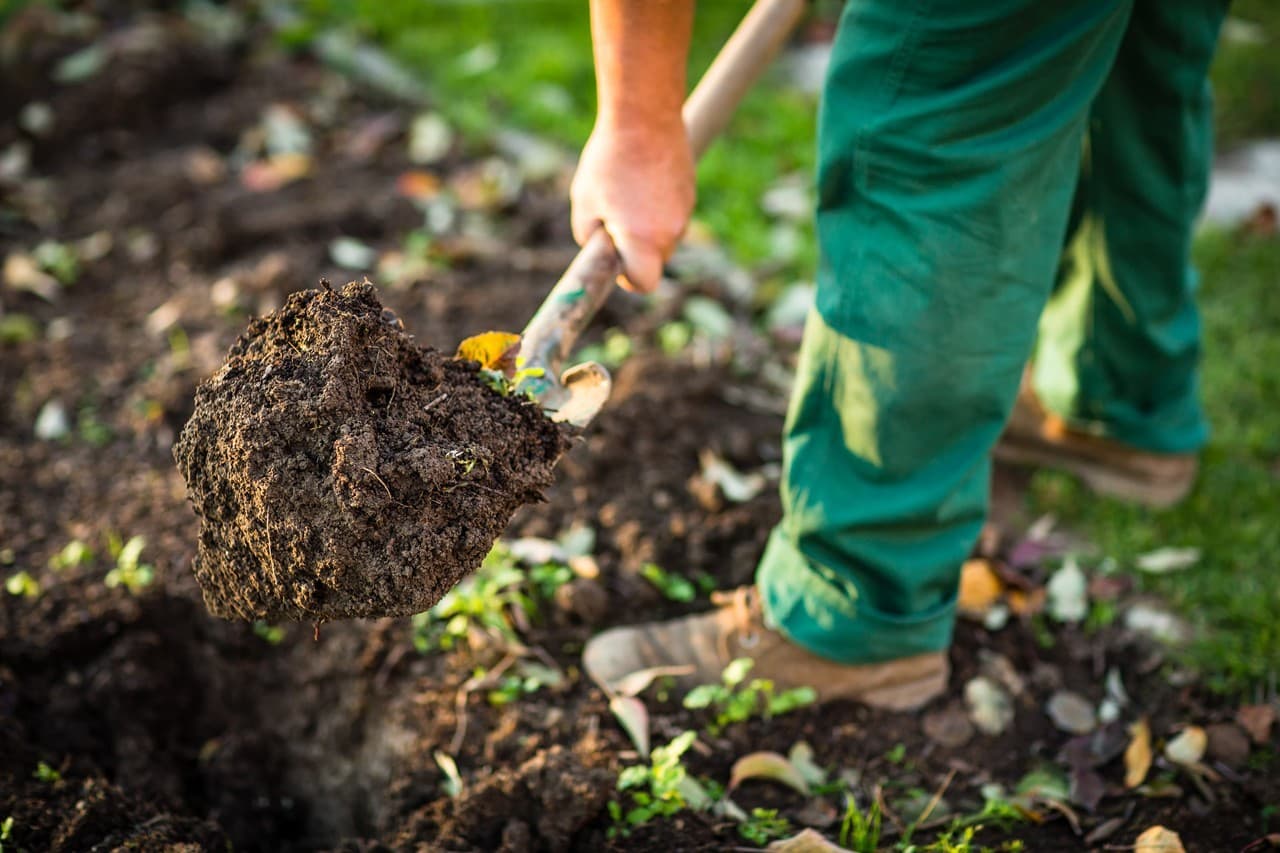 Excavaciones, diseño y mantenimiento de jardines en Oleiros