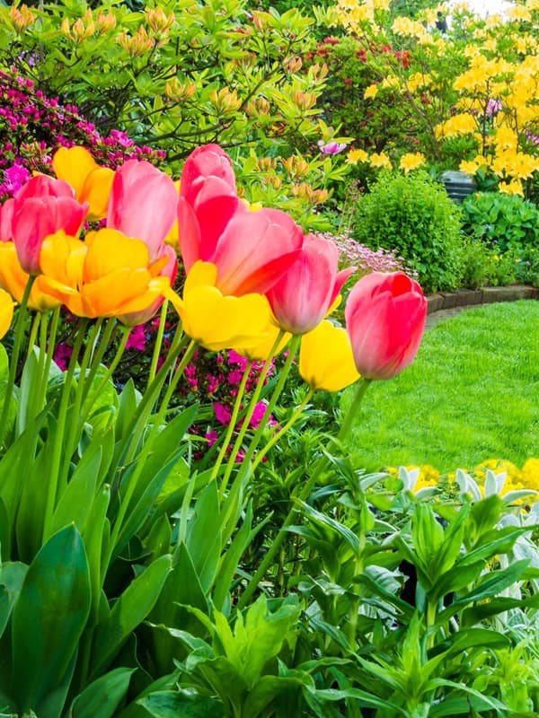 Realización y mantenimiento de jardines y huertos urbanos